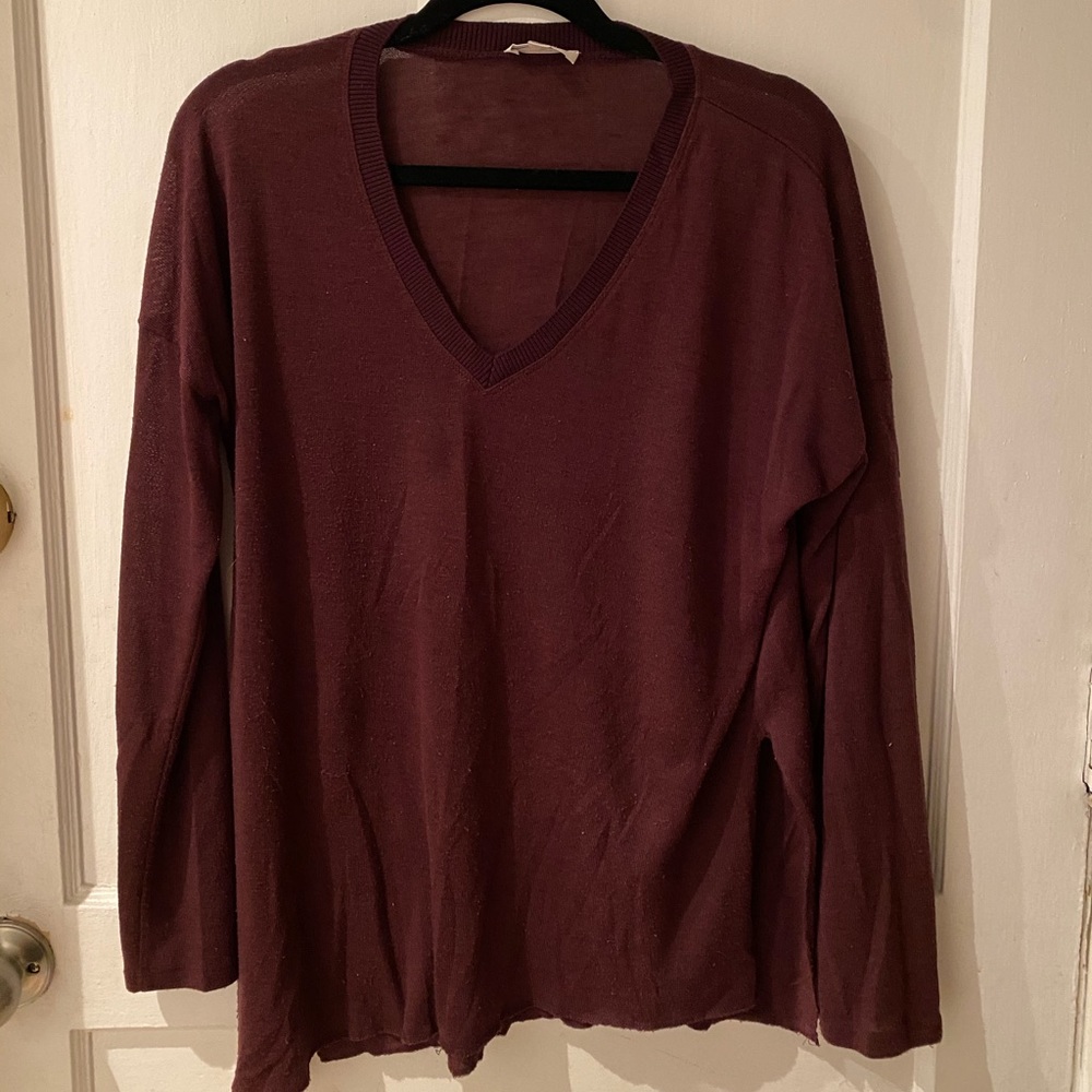 Aritzia Long sleeve Shirt